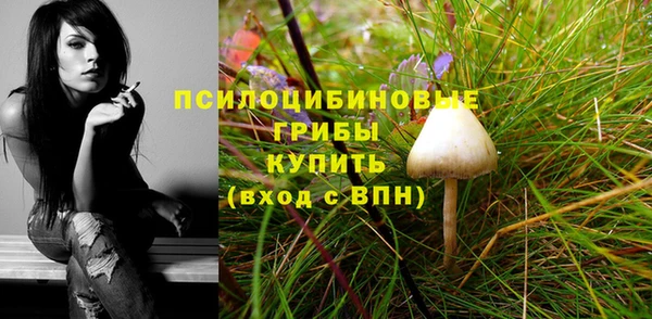 ALPHA PVP Волоколамск