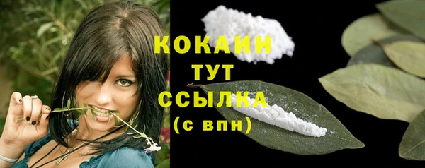 ALPHA-PVP Вяземский