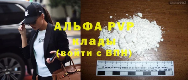 Альфа ПВП Горно-Алтайск
