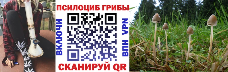 наркотики Зеленодольск Псилоцибиновые грибы MAGIC MUSHROOMS
